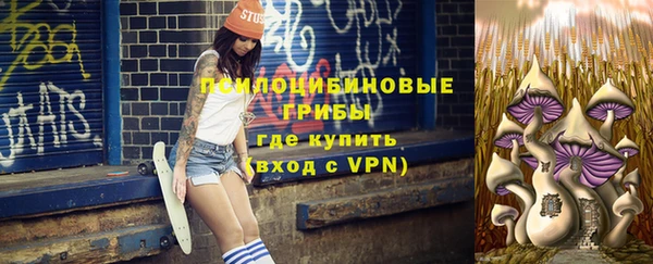 apvp Алексеевка
