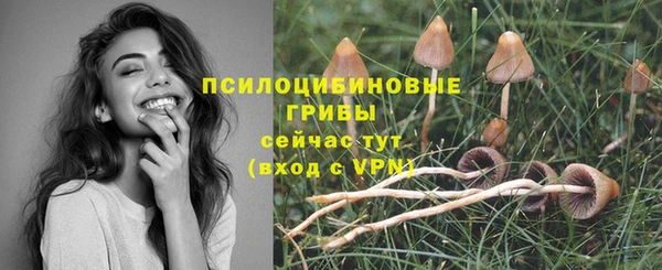 герыч Алексин