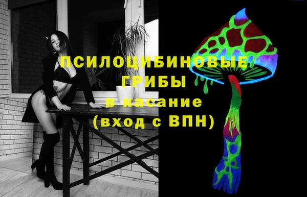 apvp Алексеевка