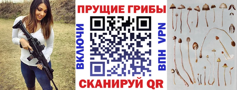 где найти наркотики  mega ссылки  Псилоцибиновые грибы GOLDEN TEACHER  Харовск 
